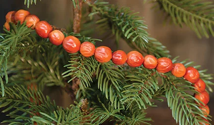 Orange Berry Garland